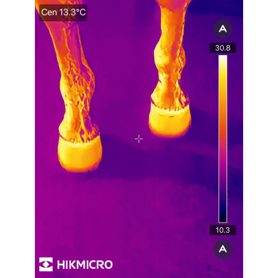 Hikmicro Mini2 V2 Phone Thermal Camera