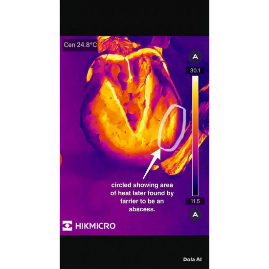 Hikmicro Mini2 V2 Phone Thermal Camera