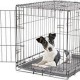 Dogit 2 Door Black Dog Crate - Small