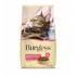Burgess Adult Cat Rich in Scottish Salmon 1.5kg