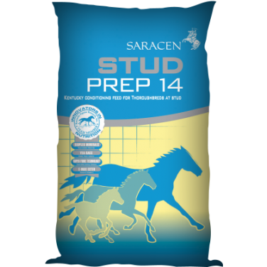 Saracen Stud Prep 14 20 kg