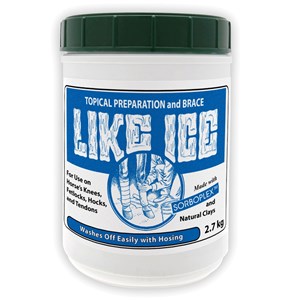Equine America Like Ice 2.7kg
