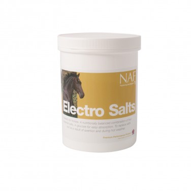 NAF Electro Salts Traveller 150g