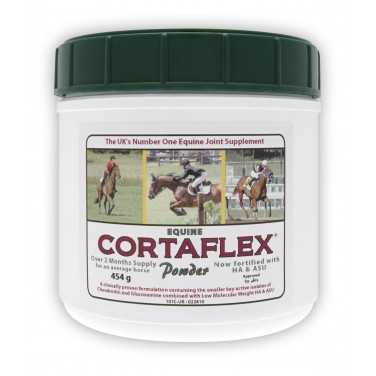 Equine America Cortaflex HA Regular Strength Powder 500g