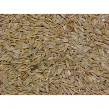 Friendship Estates Whole Oats 20kg