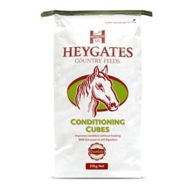 Heygates Conditioning Cubes