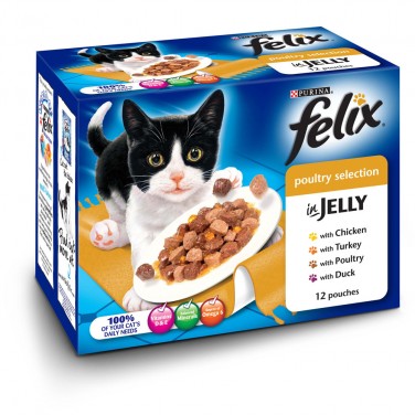 Felix Pouch Poultry CIJ 4x12x100g