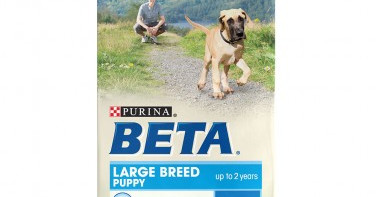 Beta Large Breed with Turkey 14kg