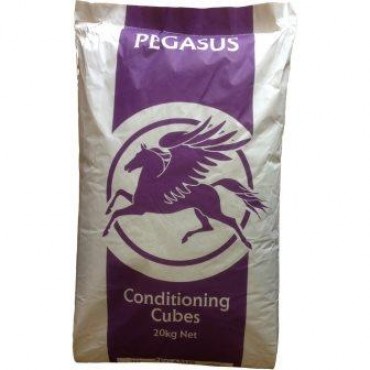 Pegasus Conditioning Cubes 20kg