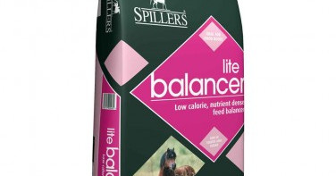 Spillers Lite and lean Balancer 20kg