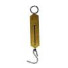 Westgate Traditional Spring Balance 25kg