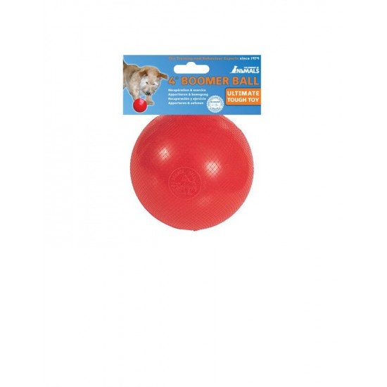 Company of Animals Boomer Ball Dog Toy