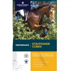 Dodson & Horrell Staypower Cubes 20kg