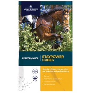 Dodson & Horrell Staypower Cubes 20kg